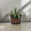 Cheung's Mariva Dark Brown Wood Decor Bucket Large - 4 of 4