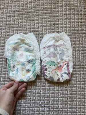 Guest review image 4 of 5, zoom in