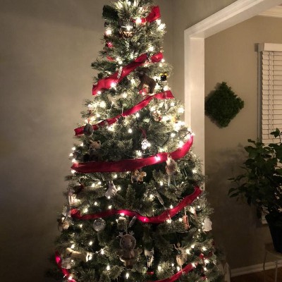 Guest review image 1 of 1, zoom in