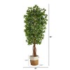 Nearly Natural 7.5-ft Artificial Deluxe Ficus Tree with Handmade Jute & Cotton Basket - 2 of 4