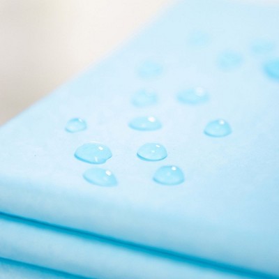 Large Blue Disposable Puppy Training Pads 22" x 22" 100 Pack