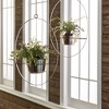 Plum & Post Boston Fern Rustic Drop-In 12" - 2 of 3