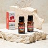 Cliganic Organic Rose Geranium Oil, 10ml - 2 of 4