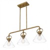 Quoizel Lighting Webster 3 - Light Chandelier in  Weathered Brass - 4 of 4
