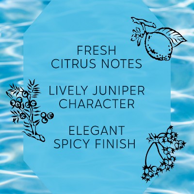Bombay Sapphire Gin - 1L Bottle