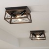 Progress Lighting, Briarwood, 2-Light Flush Mount, Textured Black, Faux-Painted Wood Enclosure - 4 of 4