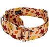 Country Brook Petz 1 1/2 Inch Martingale Dog Collar - Awesome Autumn Collection - 2 of 4