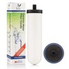 British Berkefeld Doulton Ceramic Water Filter Element W9121226 7" Ultra Sterasyl NSF Tested Authentic Gravity PFAS (PFOA and PFOS) Reduction 8674 - 2 of 4