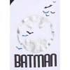 DC Comics Justice League Batman T-Shirt and Shorts Outfit Set Little Kid to Big Kid - 4 of 4