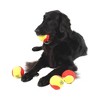 Midlee 3 Inch Large Tennis Balls for Dogs, Pack of 4 Durable Toy Balls - 2 of 4