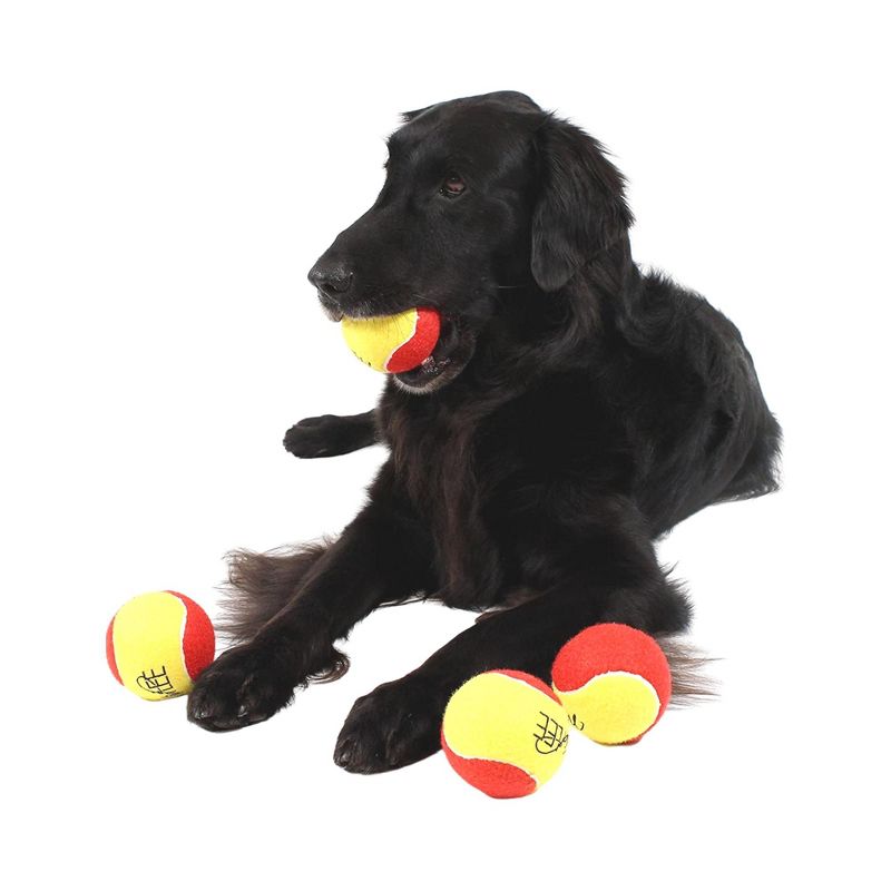 Midlee 3 Inch Large Tennis Balls for Dogs, Pack of 4 Durable Toy Balls, 2 of 7