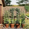 55.1x11.8In Metal Garden Trellis, Weather-Resistant & Rustproof, Supports Climbing Plants, Roses, Vines, Flowers, and Vegetables - 4 of 4