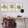 Stupell Industries Les Palmiers Botanical Trio, 24" x 30" - 3 of 4
