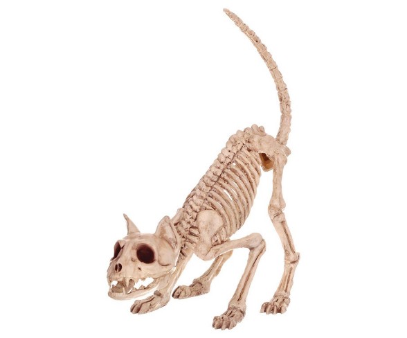 Halloween 10" Lil' Skeleton Kitty
