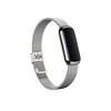 Fitbit Luxe Metal Mesh Band Stainless Steel Band - Platinum - 2 of 4
