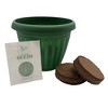 Buzzy Seeds 5.5" Plastic Grow Pot Philodendron - 2 of 4