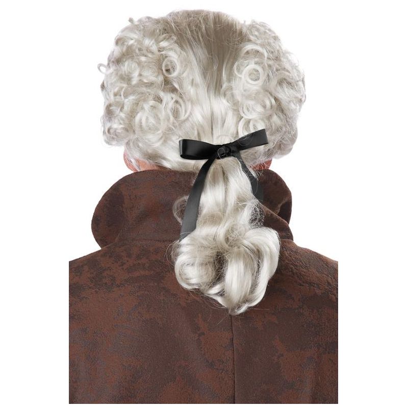 California Costumes 18th Century Peruke Costume Wig (Grey), 2 of 3