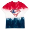 DC Comics Justice League July 4th Matching Family T-Shirt Little Kid to Adult - 2 of 4