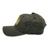 Funny St Patricks Day Hats Hilarous Novelty Graphic Caps - Crazy Dog - 3 of 4