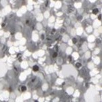 silver glitter