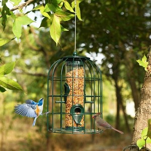 Munora Squirrel-proof Bird Feeder - 7"x7"x10" Metal Caged Tube, Outdoor Seed Guard with Stainless Steel Hanger, Green - 1 of 4
