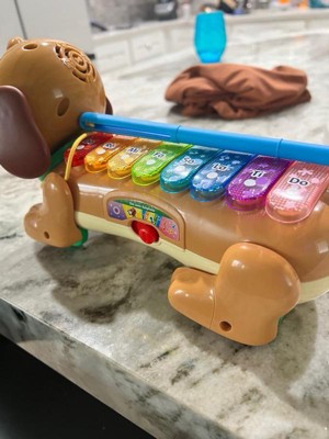 Vtech Zoo Jamz Doggy Xylophone : Target