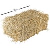 Garden Elements Straw Bale by Shady Creek Farm, Multi-Use for Farm & Home - 4 of 4
