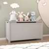 FONTOI Kids Toy Box Storage with Safety Hinged Lid, Toy Organizer for Kids, Children, Gray, 13"*16.7"*31.5" - 4 of 4