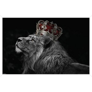 Trends International Reinders: Animals - Lion Crown Framed Wall Poster Prints White Framed Version 14.725" x 22.375" - 1 of 4