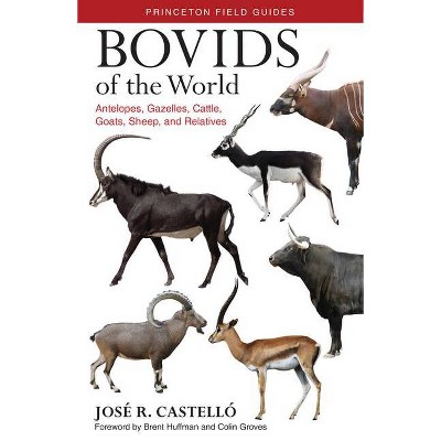 Bovids of the World - (Princeton Field Guides) by  José R Castelló (Paperback)