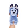 Bluey Plush Socks Bluey Friends New Character 2021 Toddler Kids