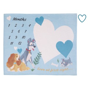 NoJo Disney Lady & the Tramp Blue, White, and Gold Love At First Sight Super Soft Photo Op Milestone Baby Blanket - 1 of 4