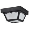 Nuvo Lighting 1 - Light Flush Mount in  Black - 2 of 4