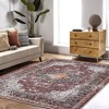 Washable Area Rugs for Living Room Vintage Persian Rug Boho Distressed Rug Carpet - 2 of 4