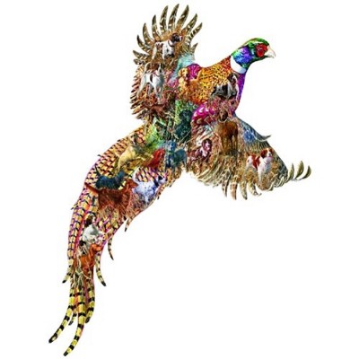 Sunsout Sports Afield Pheasant Days 685 pc Special Shape  Jigsaw Puzzle 95059