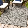 Sinjuri Medallion Textured Weave Indoor/Outdoor Area Rug - JONATHAN Y - image 4 of 4