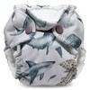Kanga Care Lil Joey Newborn All in One Cloth Diaper (2pk) - 3 of 4