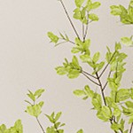 wood color