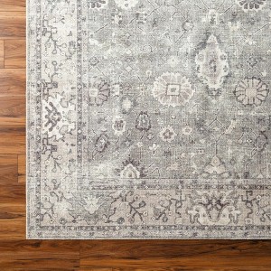 Hauteloom Davina Damask Light Gray - 1 of 4