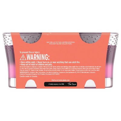 Merry Berry and Cranberry Celebration Scented Gel Jar