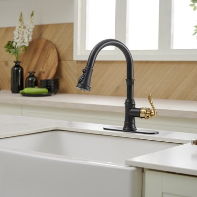 Matte Black and Gold Single-Handle Pull-Down Kitchen Faucet