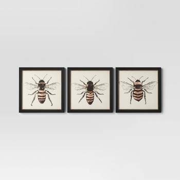 (3pk) 12" x 12" Bees Framed Wall Canvases - Threshold™