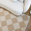 Balta Rugs Checkered Plush Area Rug Gray - 2 of 4