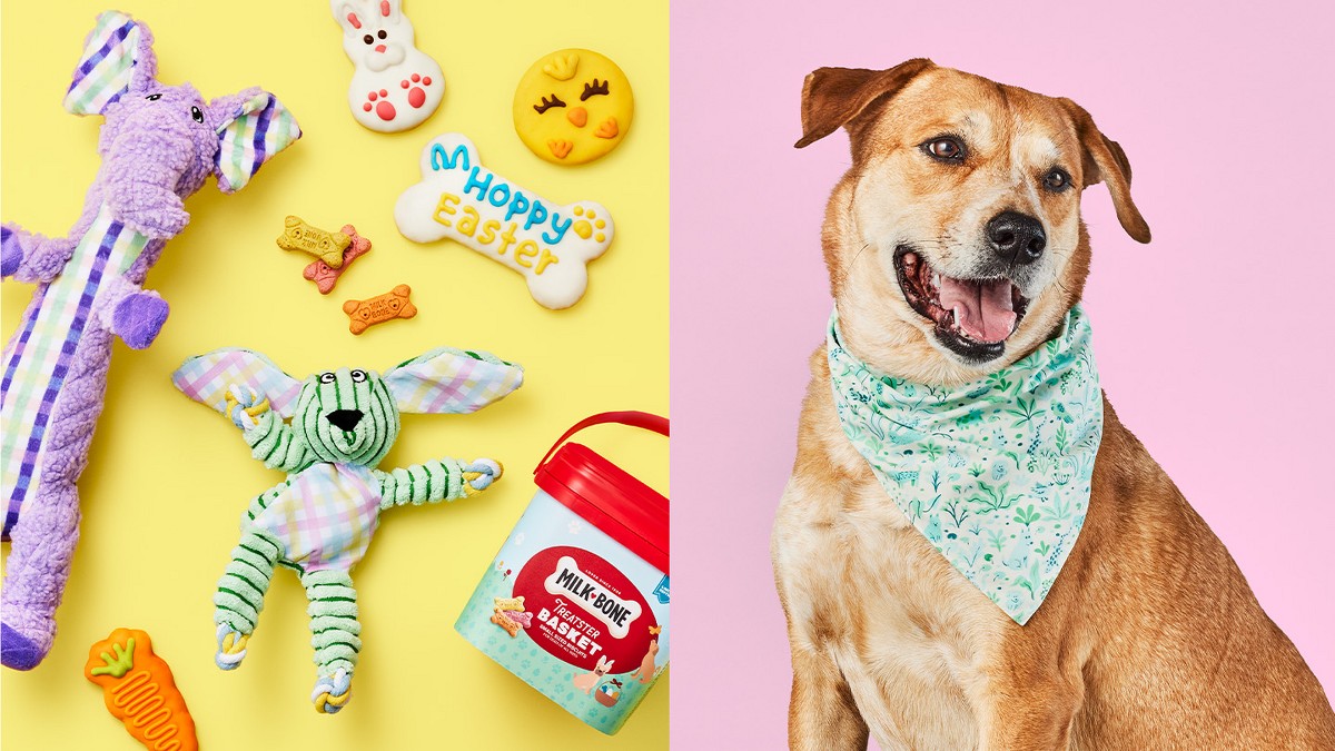 Dog Toys Page 5 Target