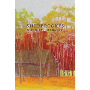 Sherbrookes - (American Literature) by  Nicholas Delbanco (Paperback) - 1 of 1
