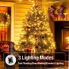 FAAYFIAN 268 ft 800-LED Warm White Plug-In Christmas Lights, Long Indoor/Outdoor Holiday Light Set for Trees, Fences and Porches - 2 of 4