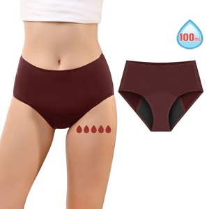 VOXSHE Period Underwear Women's Period Briefs Leak Proof Underwear for Women Menstrual Reusable Absorbent Panties - 1 of 4
