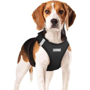 rabbitgoo Small Dog Harness, Step-in Soft Mesh Reflective Pet Harness for Small Medium Dogs, Black XL - 1 of 1