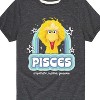 Boys' - Sesame Street - Pisces Big Bird Short Sleeve Graphic T-Shirt - 2 of 4