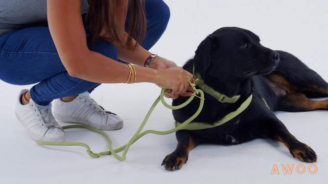 AWOO Infinity Multifunctional Recycled Dog Leash - 7ft, 2 of 14, play video